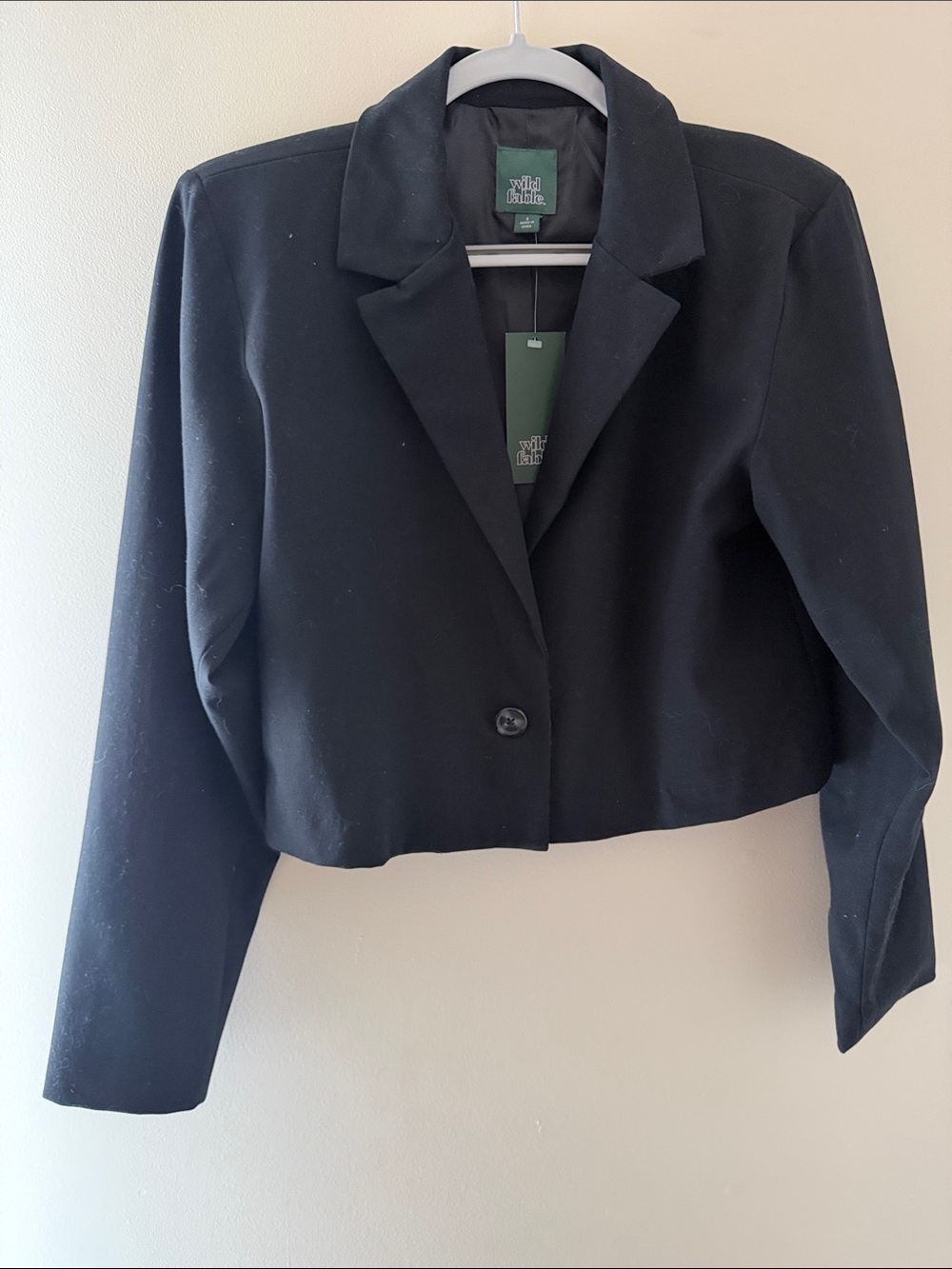 wild fable Black Cropped Single-Button Blazer